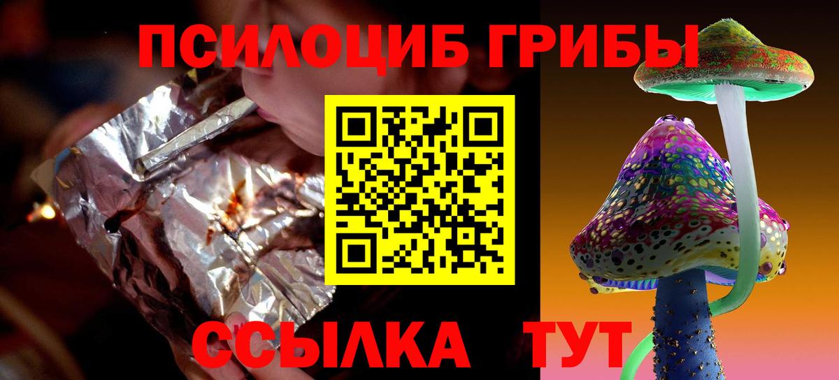 Богданович  Галлюциногенные грибы прущие грибы  Вход с VPN  Галлюциногенные грибы мицелий 
