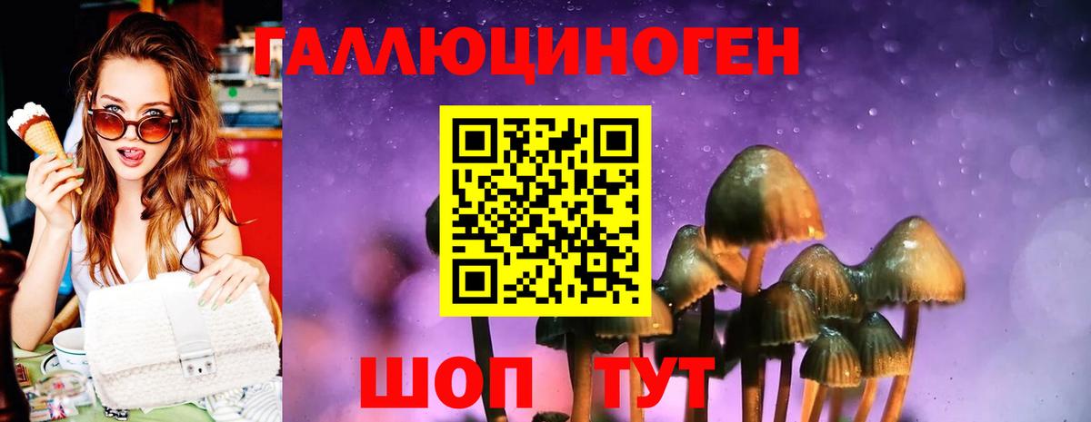 Галлюциногенные грибы Cubensis Богданович